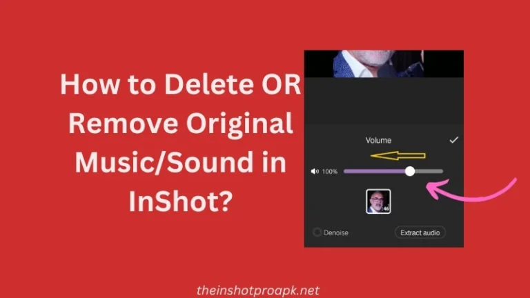 How to Delete OR Remove Original Music Sound in InShot