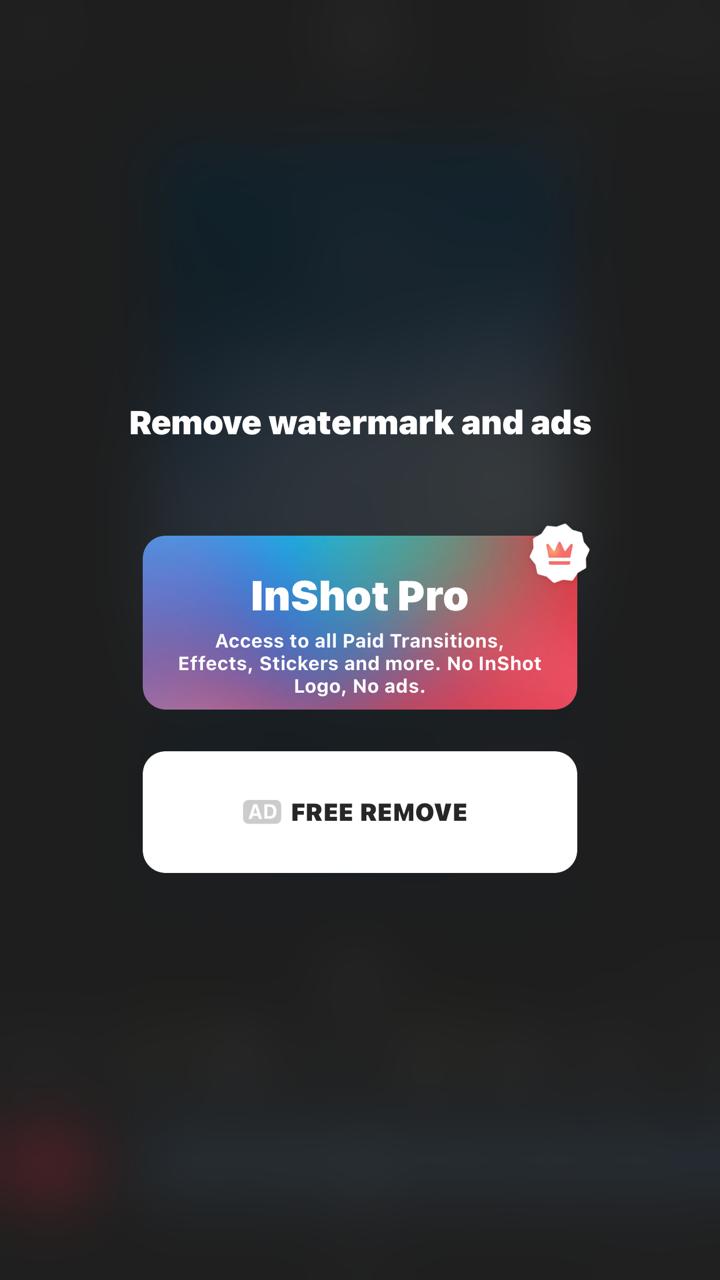 removing inshot logo process