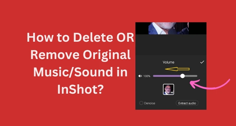 How-to-Delete-OR-Remove-Original-Music-Sound-in-InSho