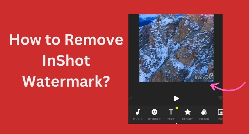 How-to-Remove-InShot-Watermark