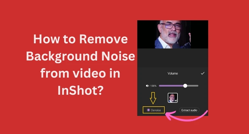 how-to-remove-background-noise-from-video-in-inshot